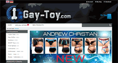 Desktop Screenshot of gay-toy.com